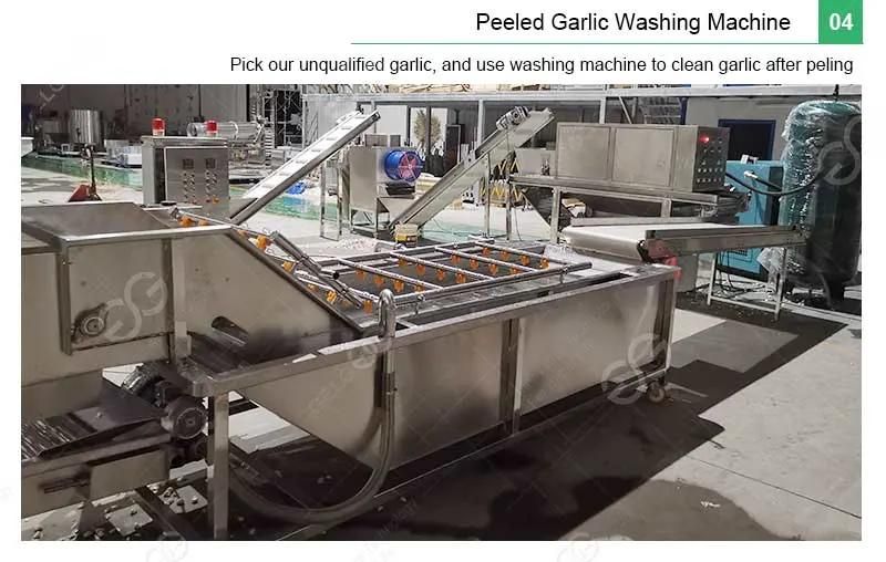Automatic Chain Type Garlic Separating Peeling Machine Line