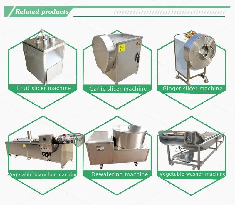 Large Scale Apricot Drying Machine Fruits and Vegetables Drying Machine