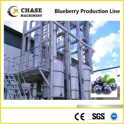 High-Quality Blueberry Juice Jam Production Processing Machinery