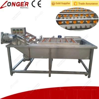 Ce Approved Industrial Fruit Washing Machine with High Quality