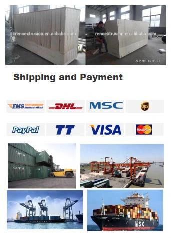 Wholesale Bread Crumbs Twin Screw Extruder