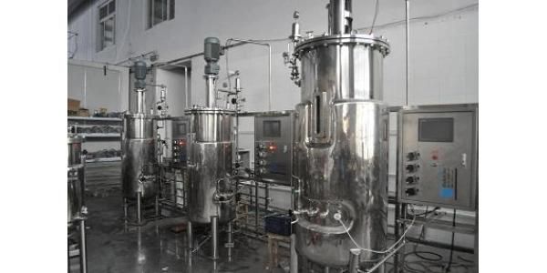 Stainless Steel Conical Beer Fermentation Tank