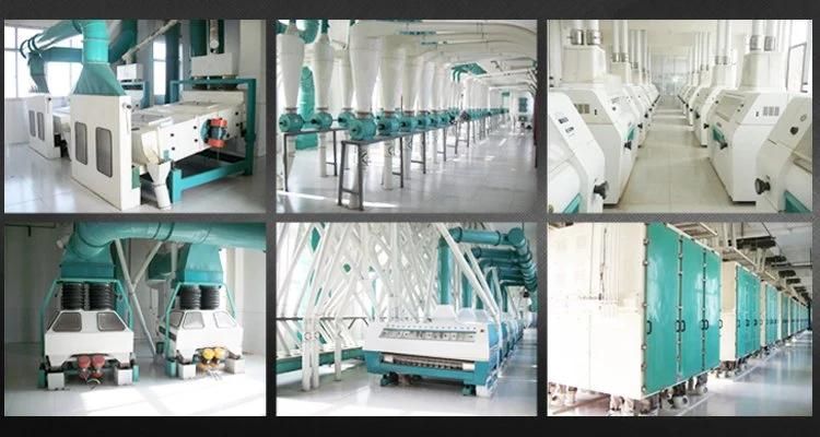 Uganda Office 100t Maize Milling Machine