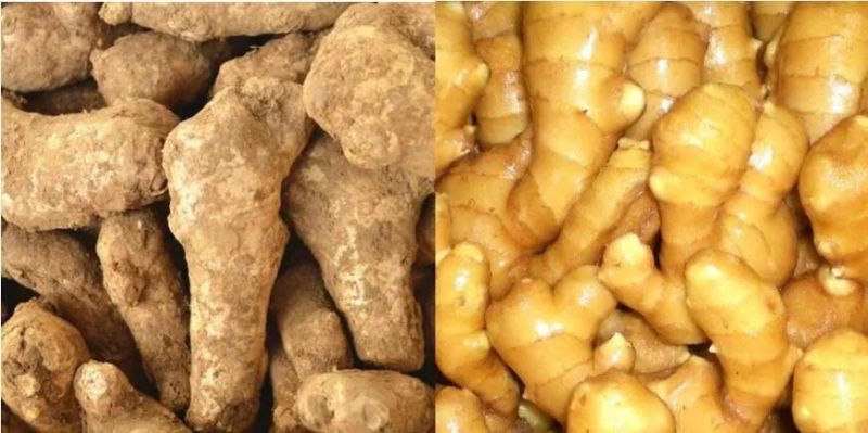 Industrial Automatic Ginger Washing Peeling Drying Milling Processing Machine