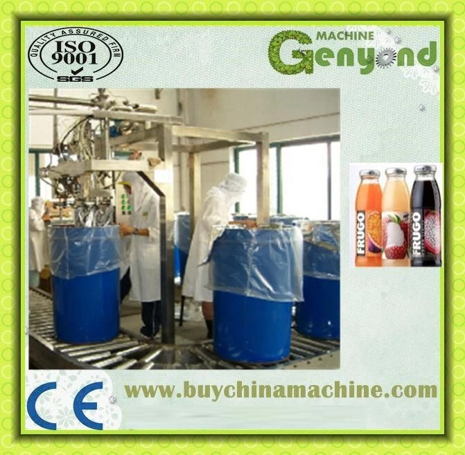 Orange Apple Fruit Juice Processing Line in China