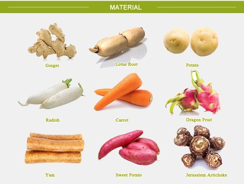 Low Energy Consumption Lotus Root Carrot Dragon Fruit Washing Machine
