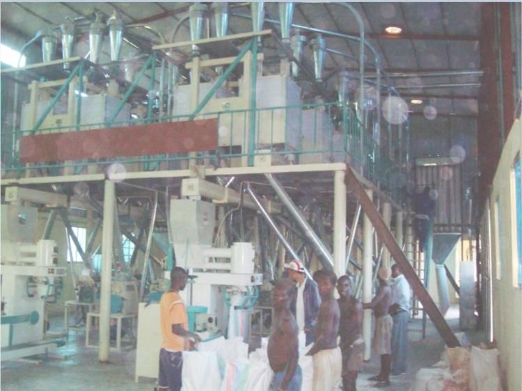 Mill for Reducing Sizeat Mesh Used in Beer Industry