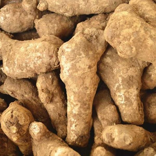 Industrial Ginger Washing and Peeling Machine
