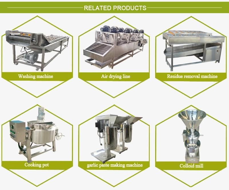 Factory Supply Mushroom Spring Onion Citrus Fruit Washing Machine
