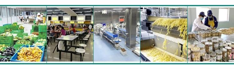 Industrial Commercial High Efficiency French Fry Fries Cutter Cutting Machine