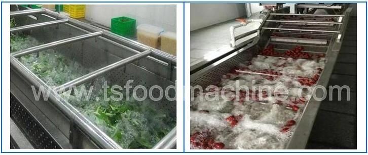 Commercial Centrifugal Vegetable Spinner Dehydrator Drying Dewatering Machine