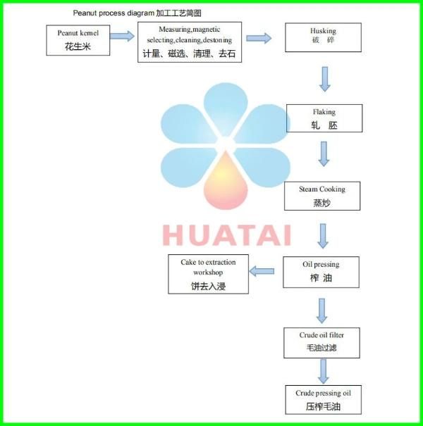 Henan Huatai Groundnut Oil Making Machine of Top 5 Manufacture