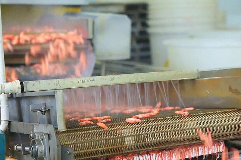 Prawn Blanching Machine Prawn Cooking Machine and Line Prawn Cooking Machine