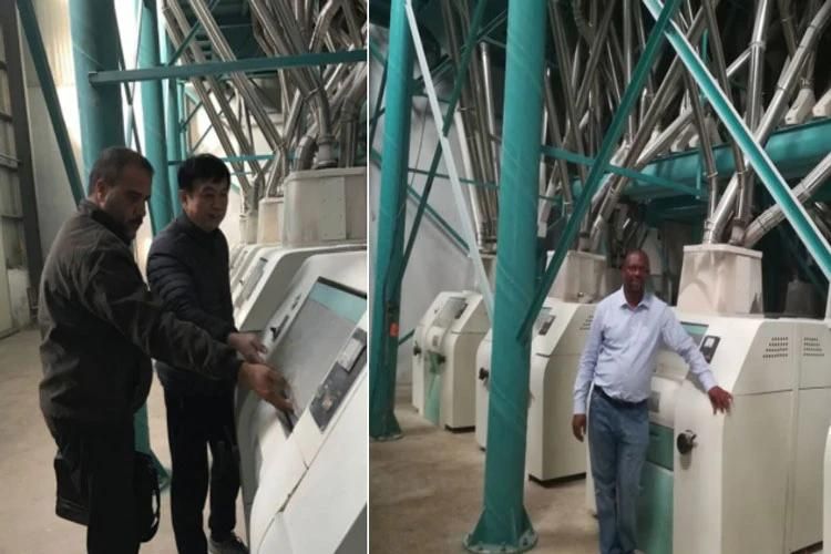 100tons Per Day Wheat Flour Plant Grain Milling Factory Flour Mill Processing Ethiopia