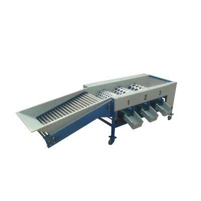 Customized Fruit Sorting Machine Industrial Citrus Fruit Sorting Machine