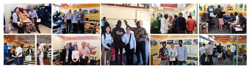 Palm Kernel Oil Press Aninal Fat Oil Extract Grain Oil Processing Machine
