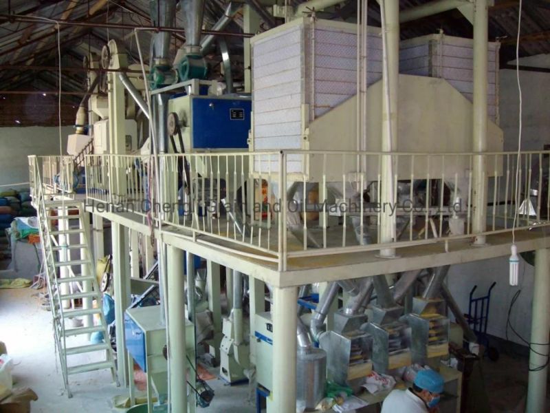 Maize Corn and Milling and Packing