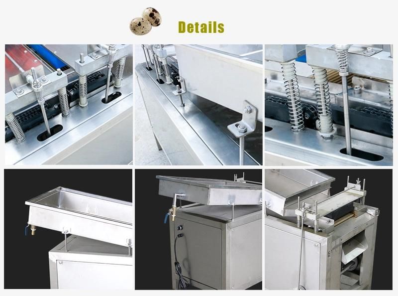 Stable Running Automatic Quail Egg Peeler
