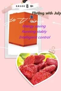 China Manufacturer Heat Pump System Fruit Dryer Strawberry Drying Machine