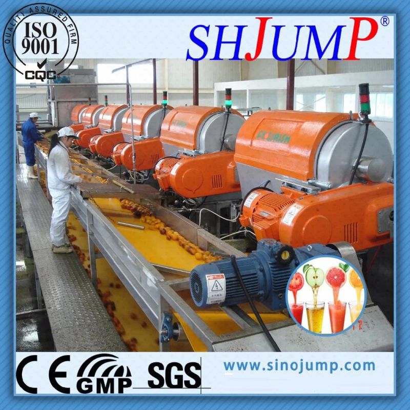 Automatic Production Equipment for Apple Pulp/Apple Puree/Apple Juice/Apple Jam/Apple Beverage