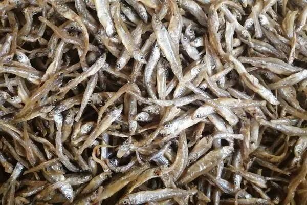 Electric Continuous Belt Conveyor Frying Machine Oil Fried Fish Fryer
