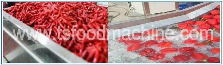 Automatic Continuous Conveyor Red Chilli and Pepper Washing Machine