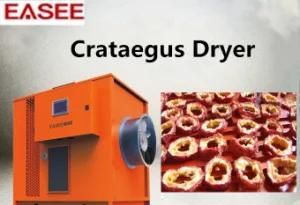 Industrial Multipul-Layers Tray Fruits Dryers Dehydrator for Crataegus Drying Machine