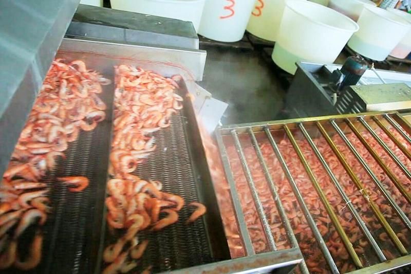 Prawn Blanching Machine Prawn Cooking Machine and Line Prawn Cooking Machine