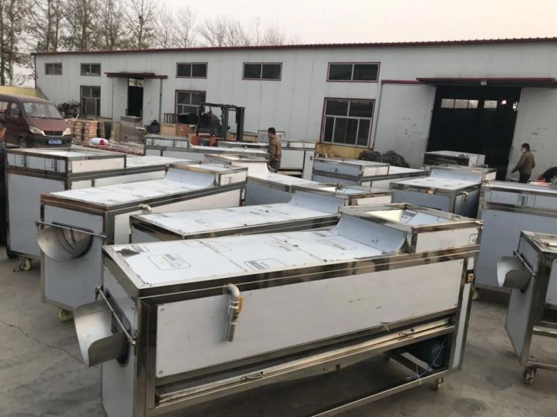 China Supplier Red Dates Dry Cleaning Machine and Fruit Washing Machine