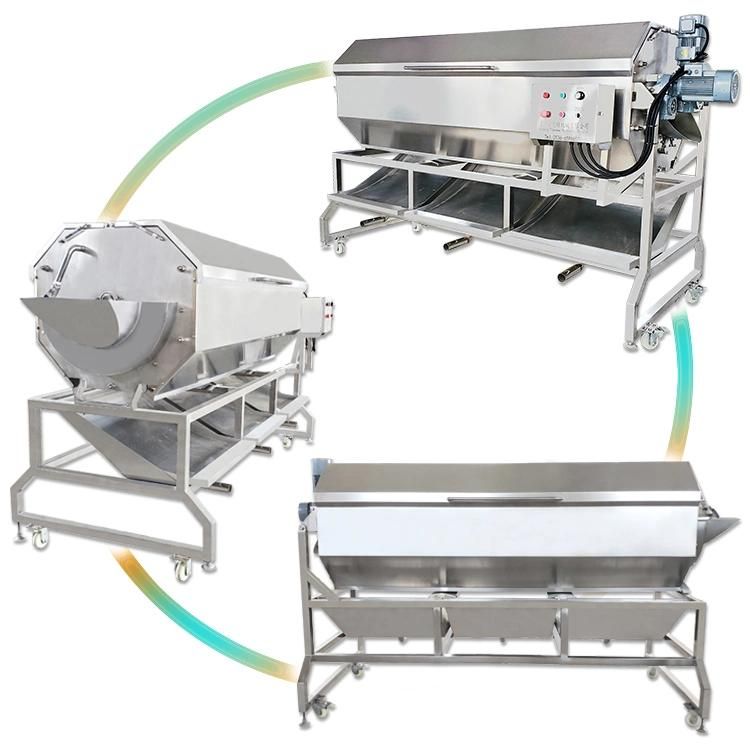 Industrial Brush Type Root Potato Washer Washing Peeler Peeling Machine