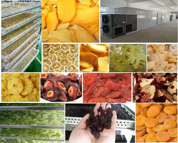 Automatic Food Dehydrator Tomato, Chili Mango, Banana, Apple, Beef Jerky Dryer Machine Meat, Fish Fruit and Vegetable Drying Machine Fruit Dryer