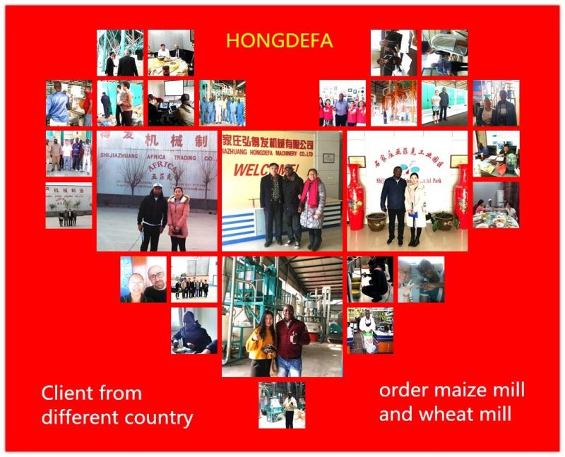 10t 20t 30t 50t 100t 200t 500t Maize Mill Wheat Flour Mill Machine