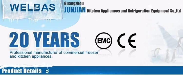 Commercial Stainless Steel Gas Pizza Oven by China Manufacturer Guangzhou OEM Factory