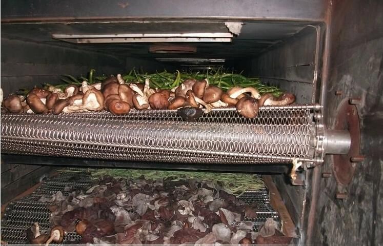 Vegetable Fruit Drying Equipment