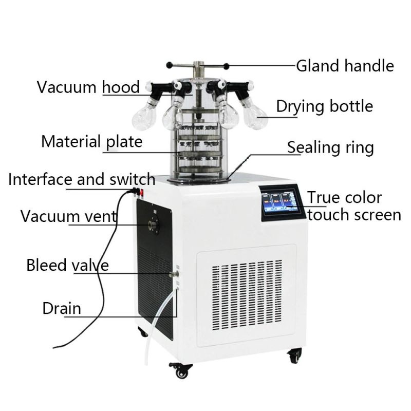 Food Dryer Vacuum Freeze Dryer Food Drying Machine