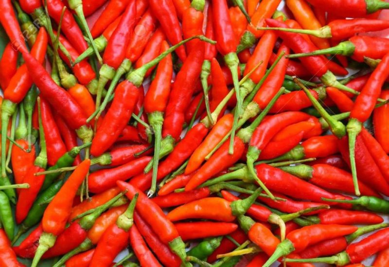 Conveyor Continuous Food Blancher Machine Chili Blanching Machine
