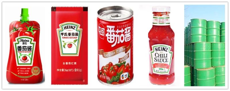 Fully Automatic Tomato Ketchup Production Line