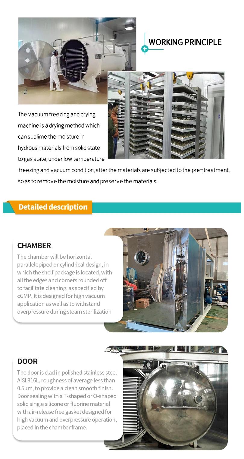 500kg Vacuum Freeze Dryer Meat Freeze Drying Machine Lyophilizer for Food Processing Line