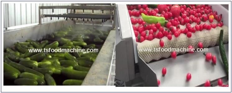 Yellow Peach Washing Machine Peach Can Processing Line