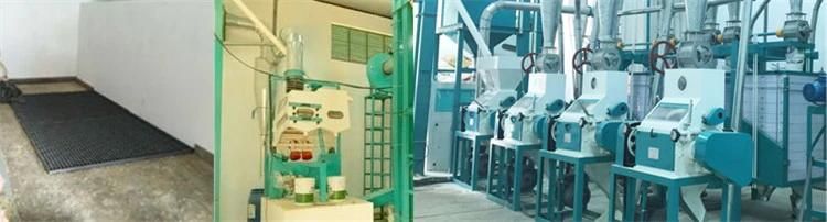 Hongdefa 30t Maize Mill Machinery Complete Processing Line