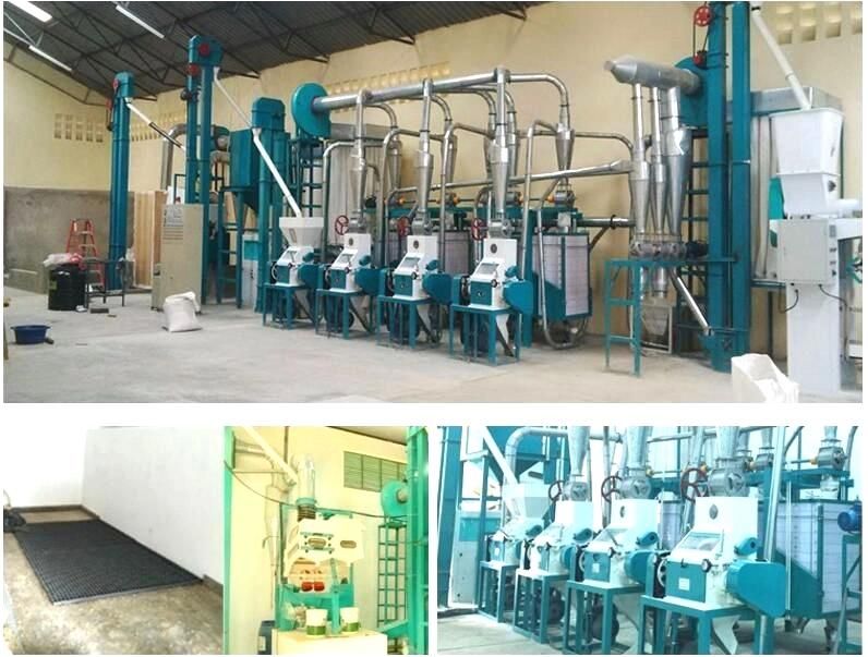 Zambia Running 20t Maize Milling Machine Complete Line