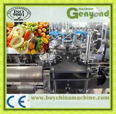 Orange Apple Juice Production Line
