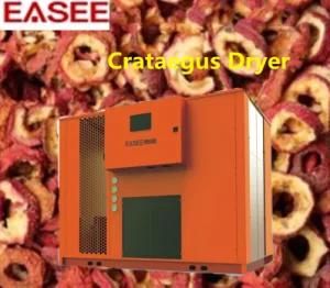 Industrial Widely Used Crataegus Dryer/ Dried Food Processing Machinery