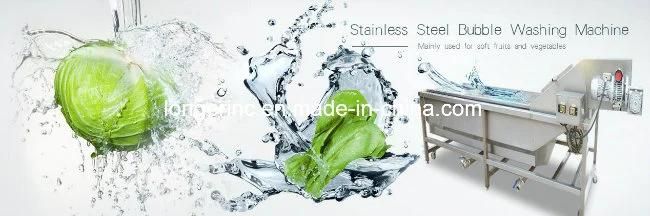 Ce Approved Industrial Fruit Washing Machine with High Quality