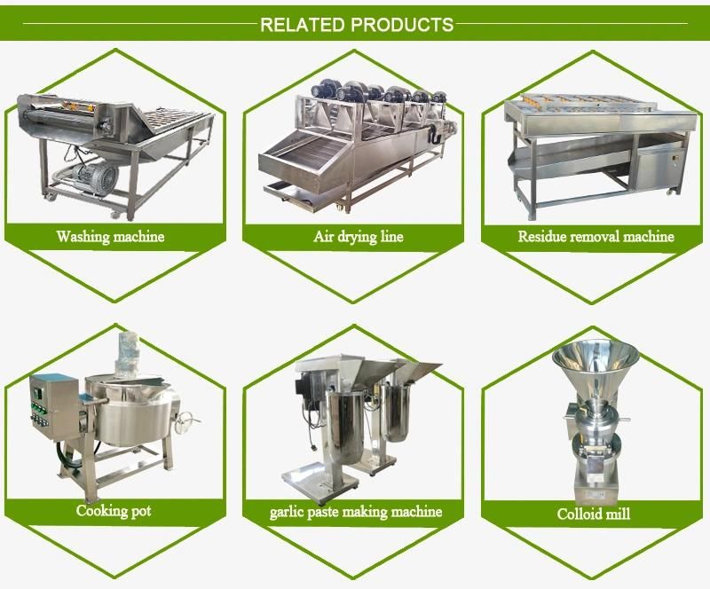 Factory Price Wet and Dried Chili Pepper Section Cutting Machine