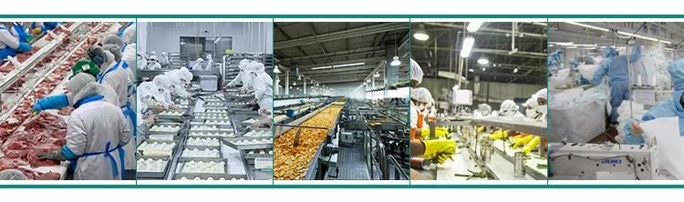 Industrial Vacuum Sealing Machinery Chamber Vacuum Packing Machine for Nuts