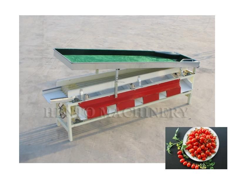 More Accurate Egg or Tomato Sorting Machine