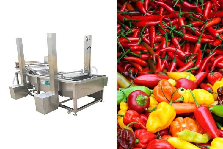 Vegetable Washer Vegetables Rinsing Machinery Chili Pepper Bubble Washing Machine