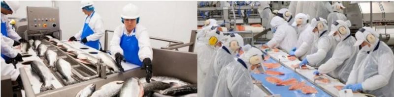 Automatic Bubble Washing Machine Lobster Washer