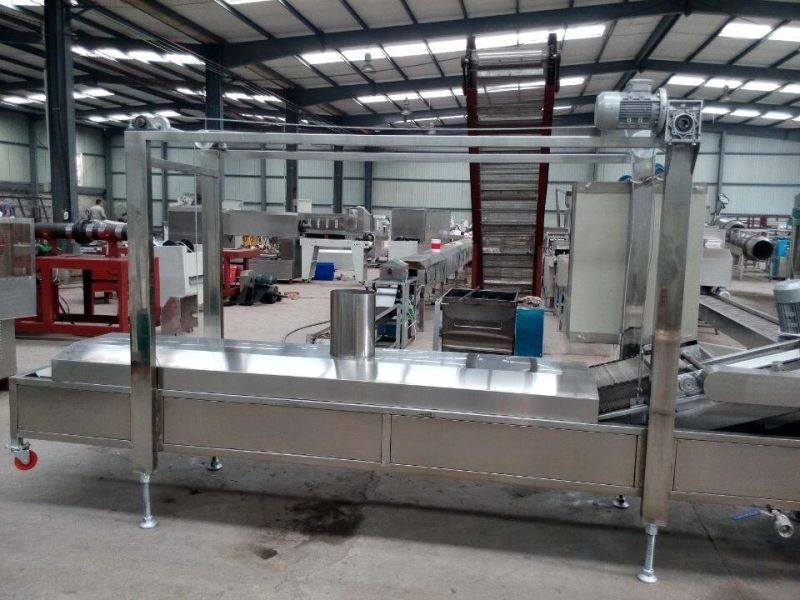 2021 Top Sell Fryer Machine for Meat Chips Snack Food Line Top Sell Fryer Machine to Restaurant for Automatic Chips